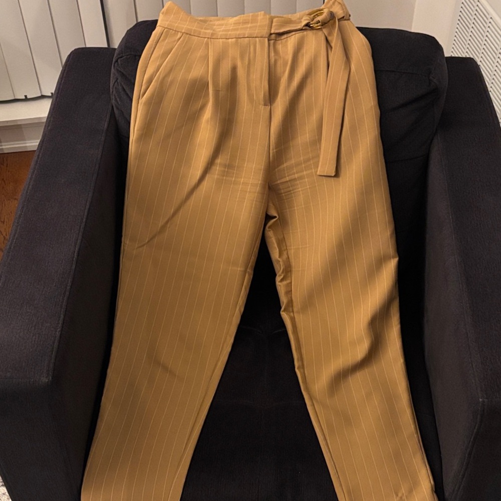 Chic Tan Pinstripe Women's Pants